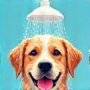 Chien sous la douche, bien lavé